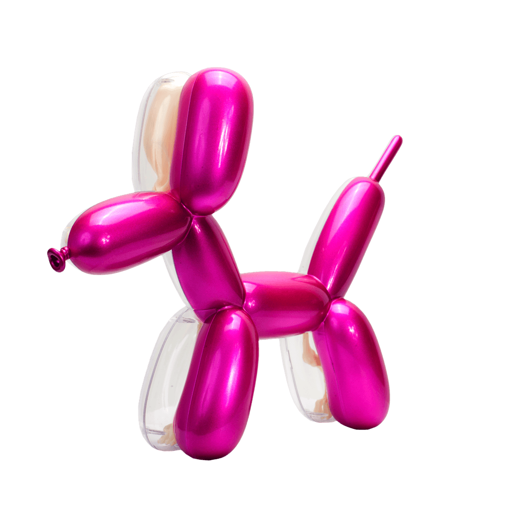 metallic-balloon-dog-funny-anatomy